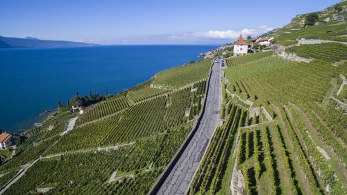 St-Saphorin-Lavaux Switzerland Hotel