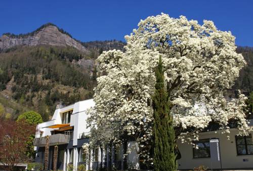 Vitznau Suisse code promo booking.com