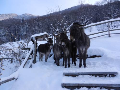 S. Nazzaro Switzerland Promo Code Booking.com