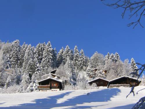 Moléson Codice Promozionale Svizzera Booking.com