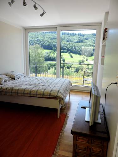 Ennetbaden Codice Promozionale Svizzera Booking.com