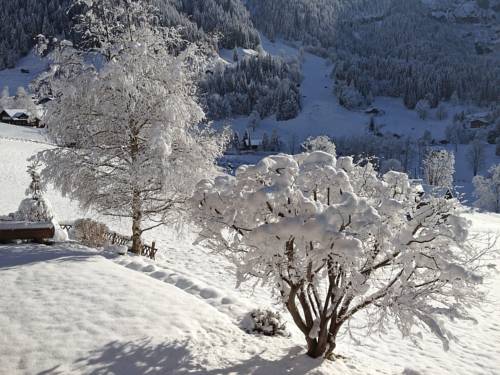 Grindelwald Suisse code promo booking.com