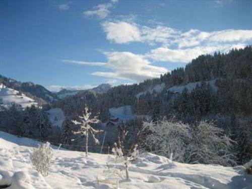 Rougemont Suisse code promo booking.com