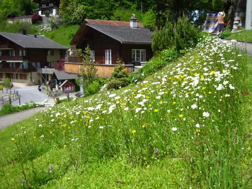 Brienz Suisse code promo booking.com